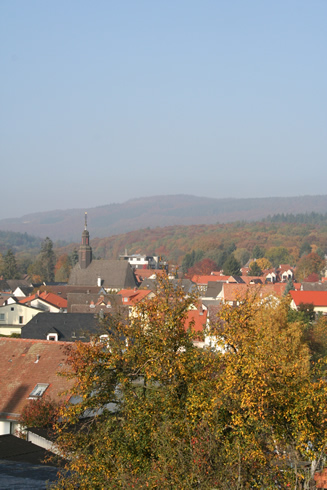 Beautiful fall colors in Koppern (Germany)