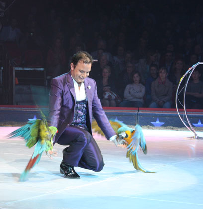 Alessio Fochesato with his beautiful parrots
