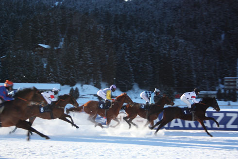 Arosa Horse Race, Switzerland