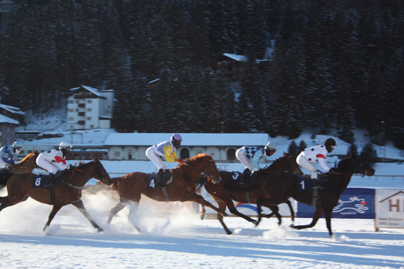 Arosa Horse Race