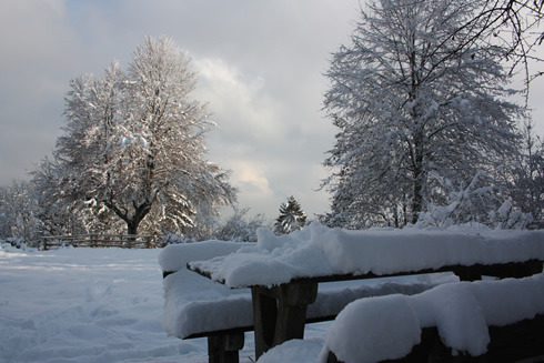 Snowy wonderland near the top of Uetliberg