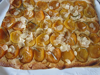 Cooked apricot almond tart with rosemary 