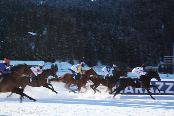 Arosa Horse race on Sunday January 23rd,2011 (Switzerland)
