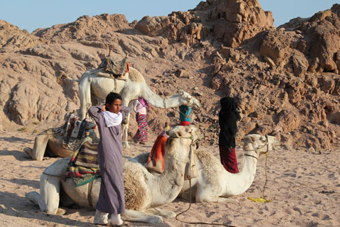 Bedouin children in the Sinai desert after a camel ride