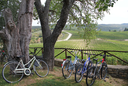Bikes at the farmhouse Romitorio di Serelle, Chianti