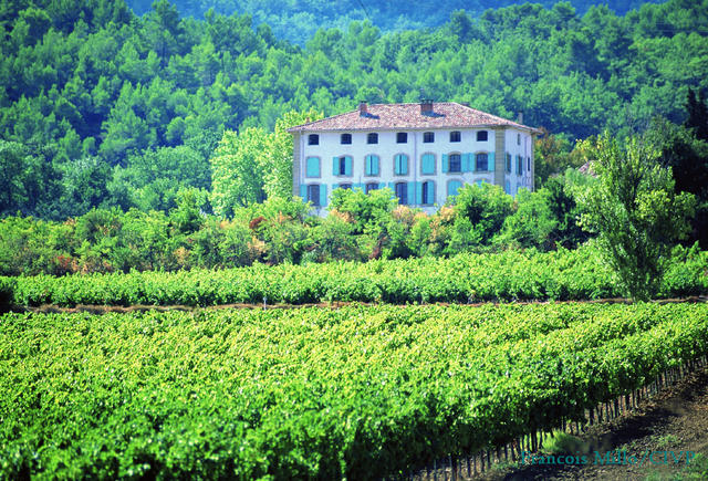 Chateau in Provence with vineyards - Copyrights Francois Millo/CIVP