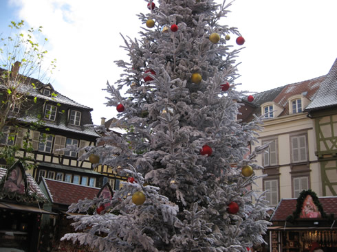Decorated tree at the Colmar Christmas market
