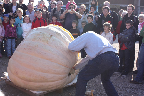 2009 Swiss competition for largest and nicest pumpkin 