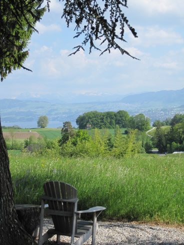 Beautiful view of the lake of Zurich from the countryside near Erlenbach