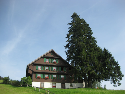 Chalet near Mt Etzel (Switzerland)