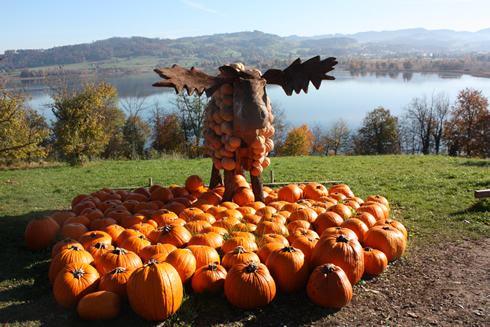 Fall Pumpkin exhibit in Seegraben, Switzerland