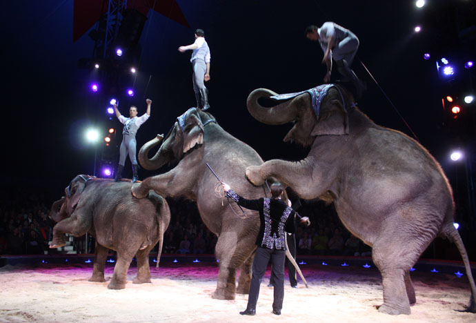 Franco Knie Junior and Fratelli Errani and the elephants show, Circus Knie Premiere in Zurich