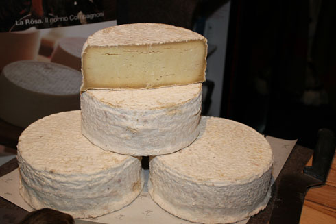 Goat Tomme from Engadin