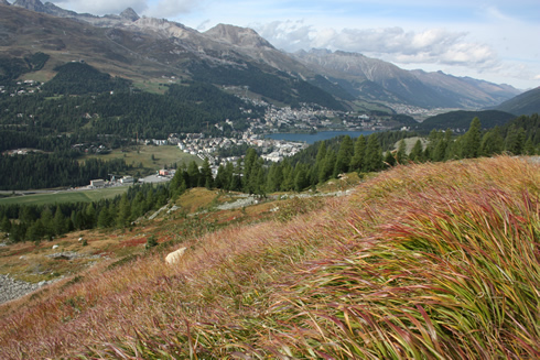 View of St Moritz in the distance