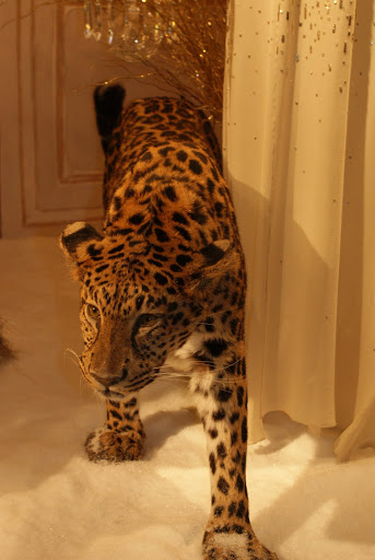 Leopard at the Dior stand, Le Printemps store in Paris