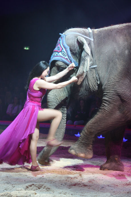 Linna Knie Sun during her show with an elephant during the dressage, Circus Knie Premiere in Zurich