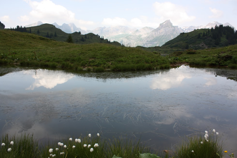 Clouds reflecting in a pond along Trubsee