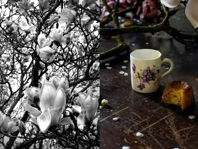 Magnolias and canelés - Mimi Thorrison's blog Manger - credit photo Oddur Thorrison