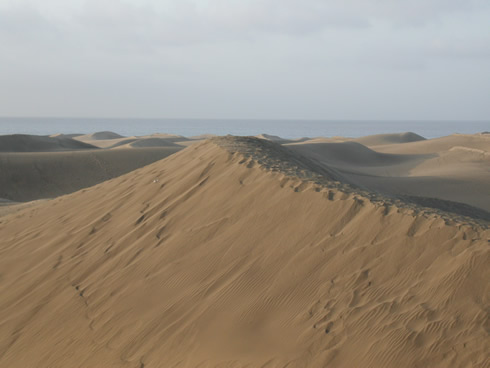 Dunes of Maspalomas in the Grand canary