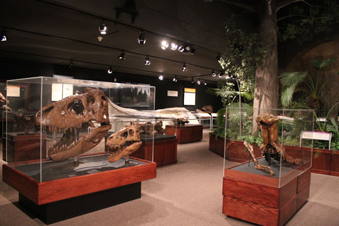 Museum of the Rockies, in the exhibition dinosaurs hall
