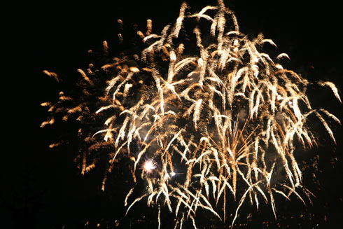 New Year Firework in Zurich