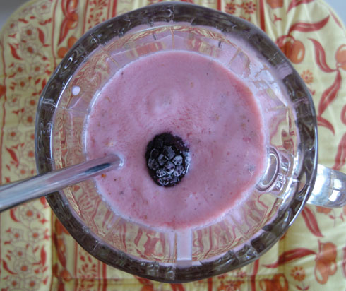 Red currants milkshake in a glass with a blackerry
