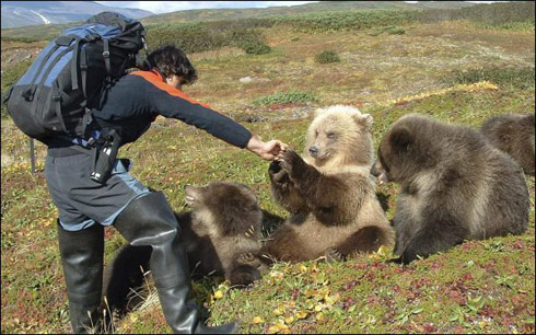 Reno Sommerhalder with bear cubs in Kamchatka