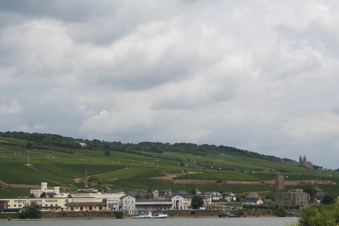 Rhine River and vineyards near Rüdesheim 