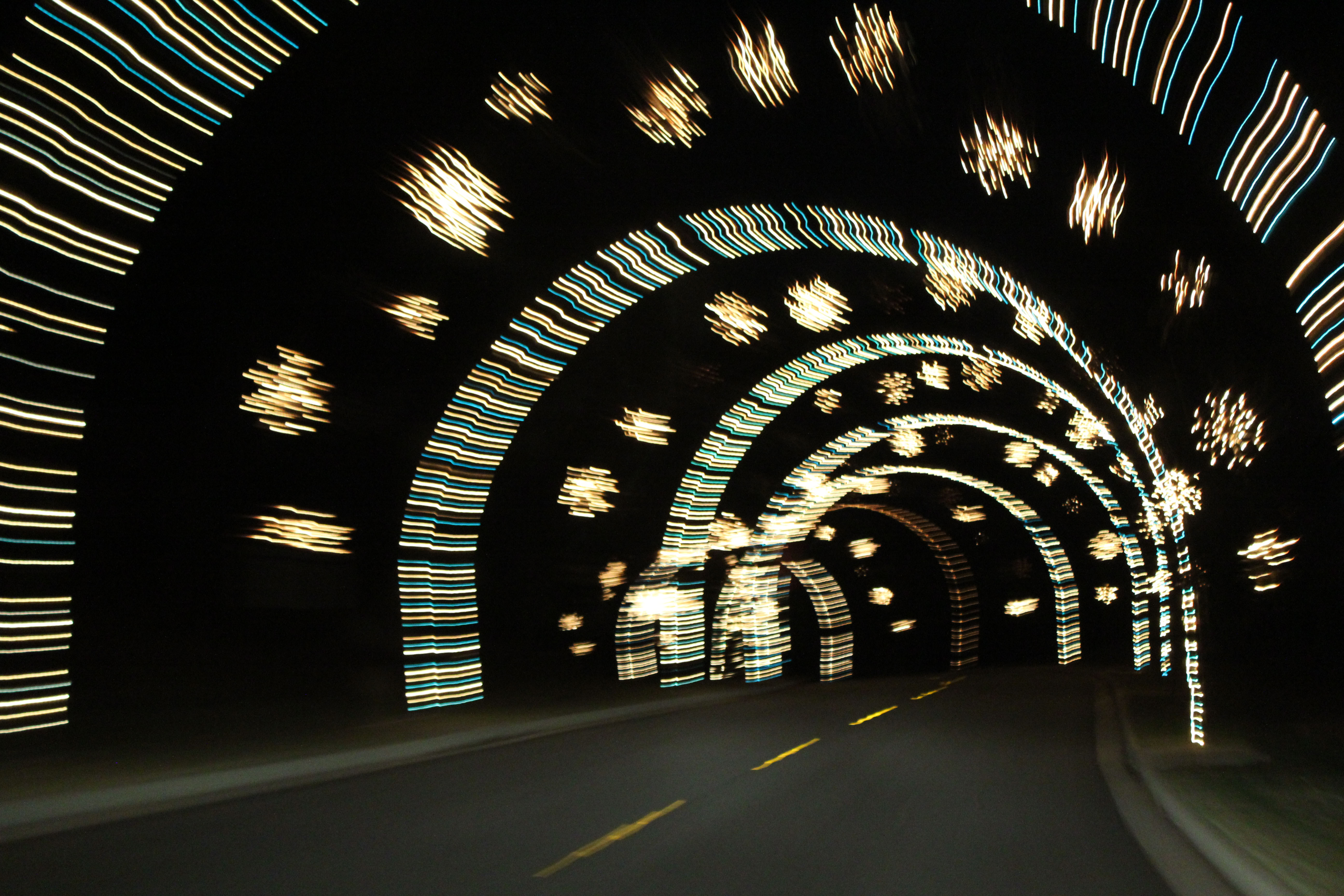 Tunnel of lights at Lake Lanier