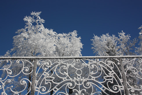 Frozen fence of a restaurant on Uetliberg