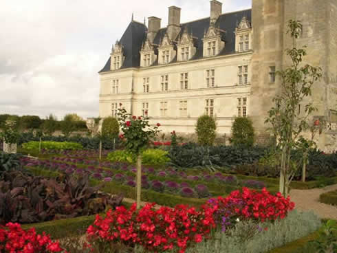 Colorful potager in the Villandry's gardens