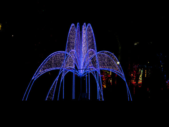 CAA Winter Festival of Lights © WFOL.com
