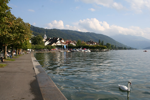 Relaxing afternoon along the lake of Zug