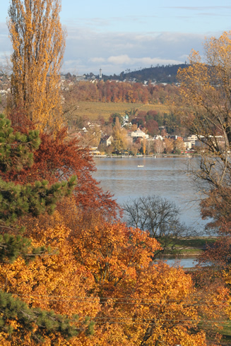 Fall around Zurich lake (Switzerland)