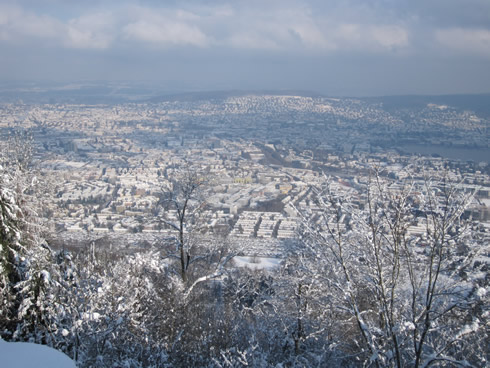 View of Zurich after snowfall from Uetliberg