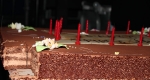 dress-rehersal-art-on-ice-dionne-bromfield-birthday-cake