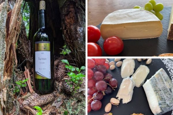 Capture Summer with the Perfect Swiss Artisanal Cheese and Wine Pairing Solaris – Sunshine in a glass