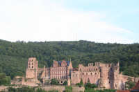 Excursions from Frankfurt (Germany): castles, closters, vineyards and much more
