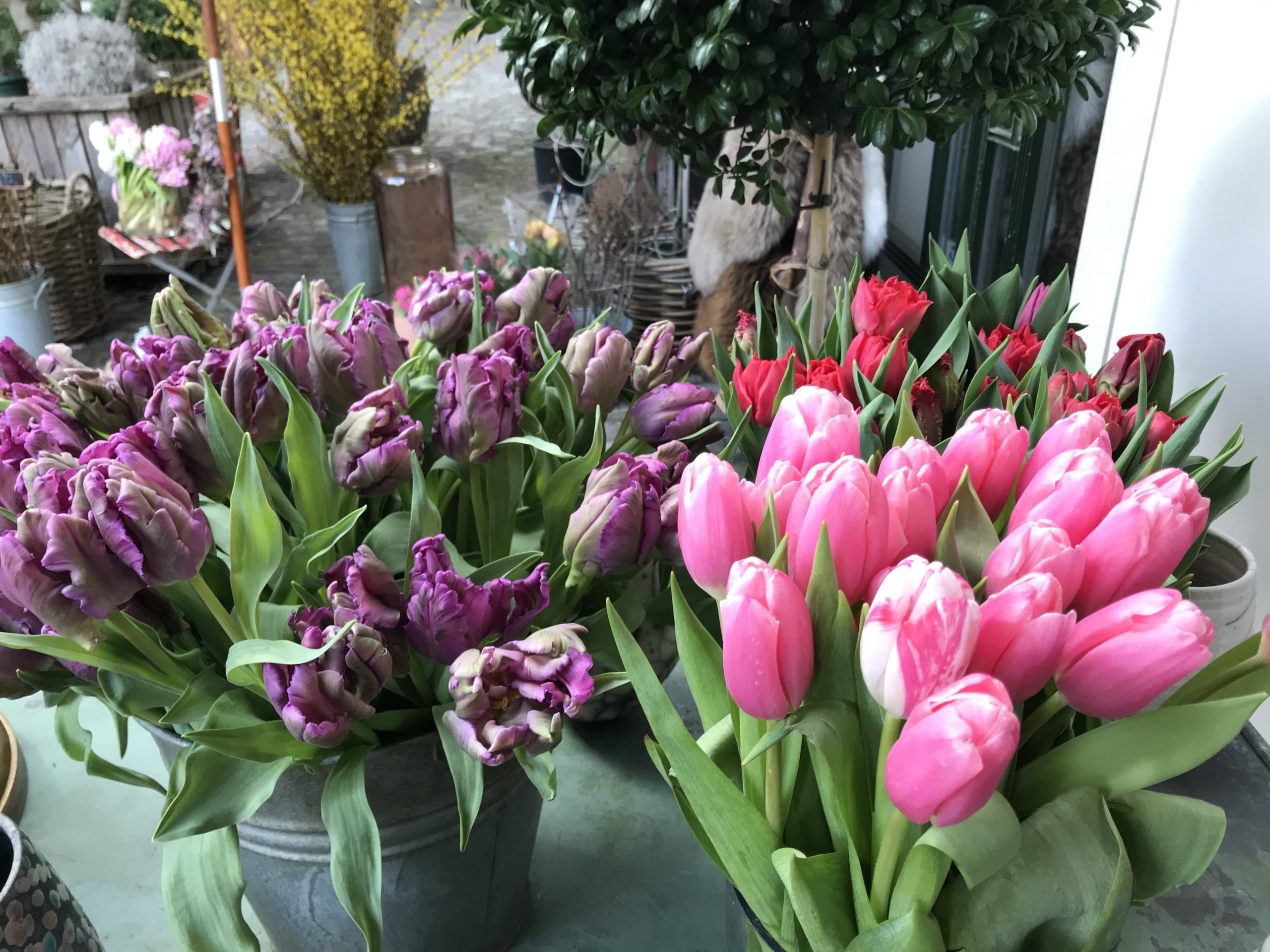 Flowers shop on the Limat in Zurich