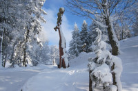 Winter Wonderland in Switzerland: beautiful snowy sceneries