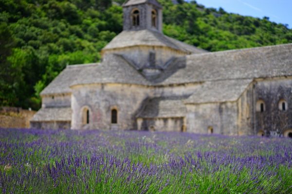 Essential, a Summer in Provence