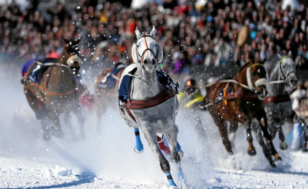 White Turf St. Moritz 2020 – A Century old horse racing on Snow