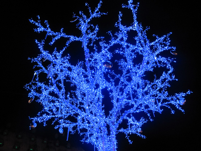Christmas tree in Strasbourg - credit photo Veronique Gray