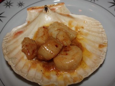 scallops served in a shell