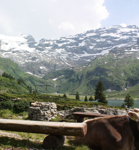 A place to barbecue in Trubsee, Engelberg
