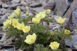 trip-to-Muottas-Murrgl-engadin-055