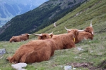 trip-to-Muottas-Murrgl-engadin-199